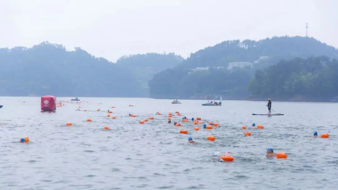 游泳竞赛规程_2024游泳竞赛规则_游泳竞赛规程包括哪些内容