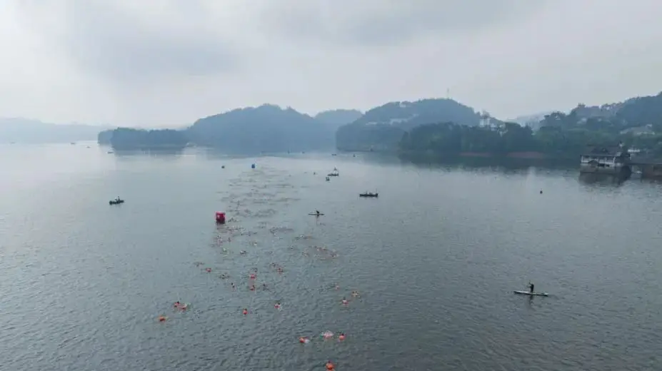 游泳竞赛规程包括哪些内容_游泳竞赛规程_2024游泳竞赛规则